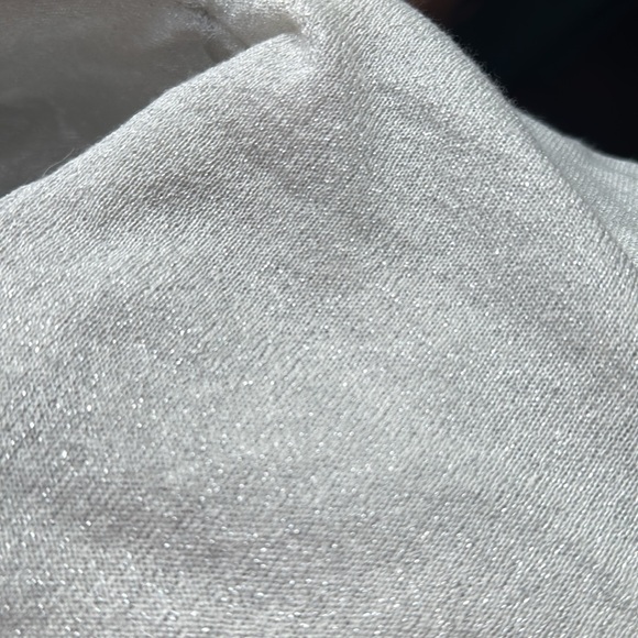 LANA light grey/silver iridescent, sheer hoodie. - Picture 4 of 5